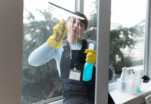 Nettoyage de vitres intérieures et extérieures au Vanneau-Irleau